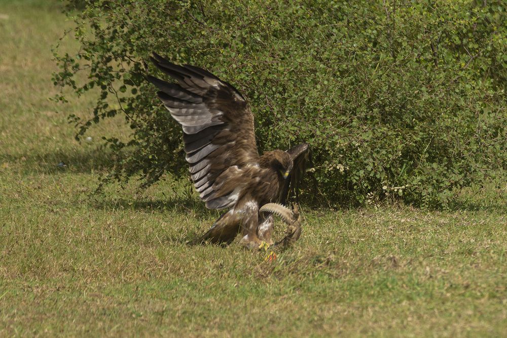 Photograph by Rajeswari Bhattacharyya
