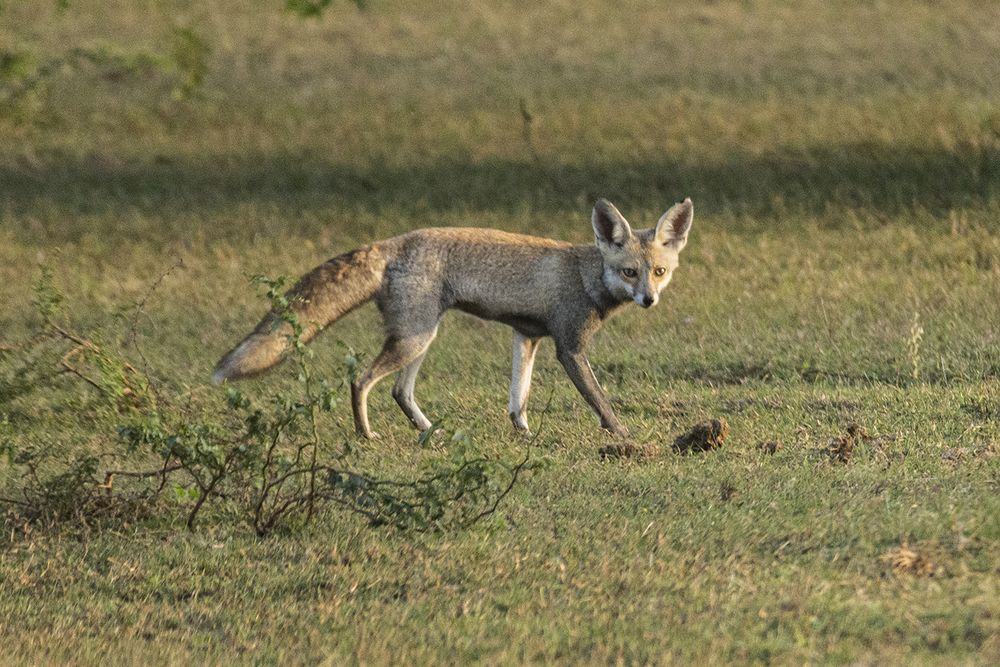 Photograph by Rajeswari Bhattacharyya