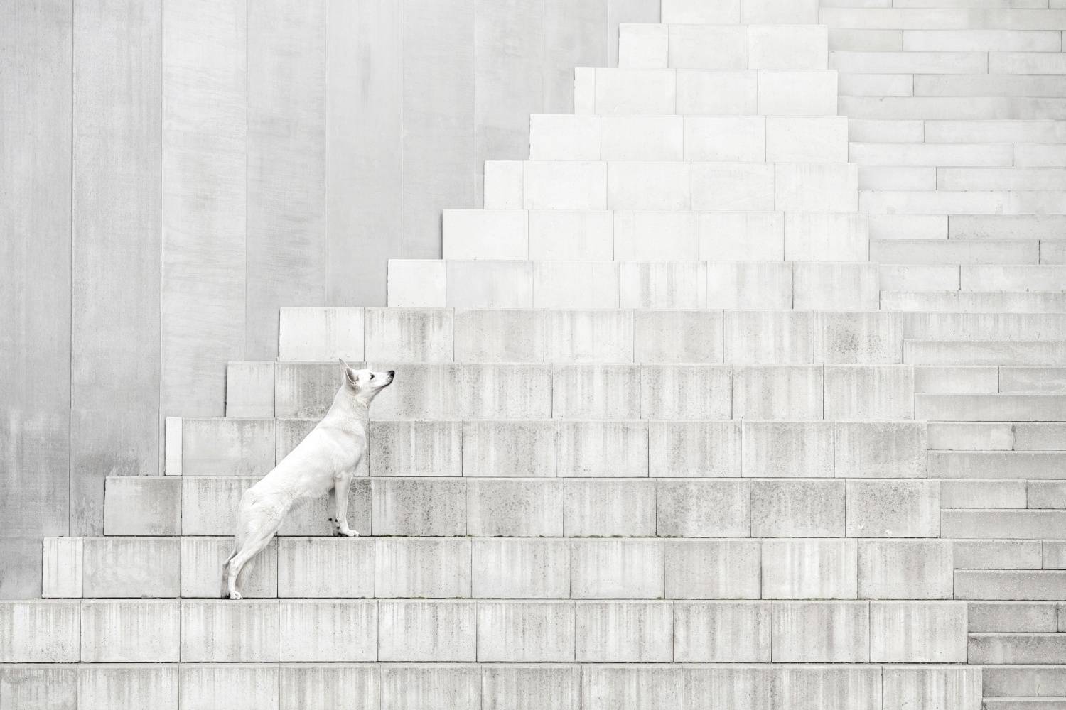 The Shape of Stillness