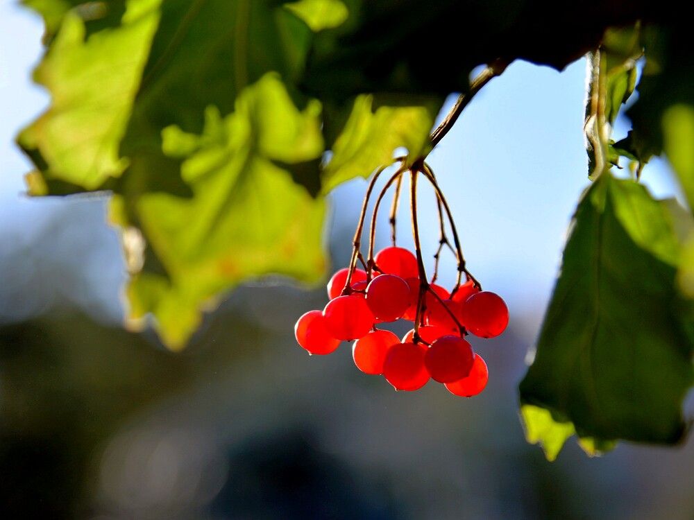 Photograph by Людмила