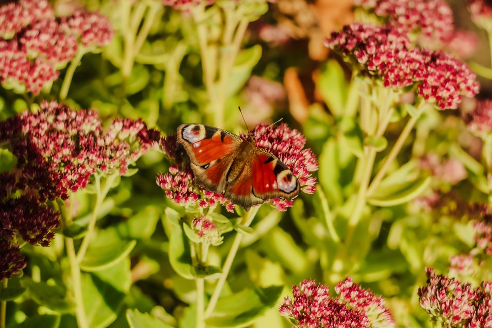 Photograph by Елена Квасова