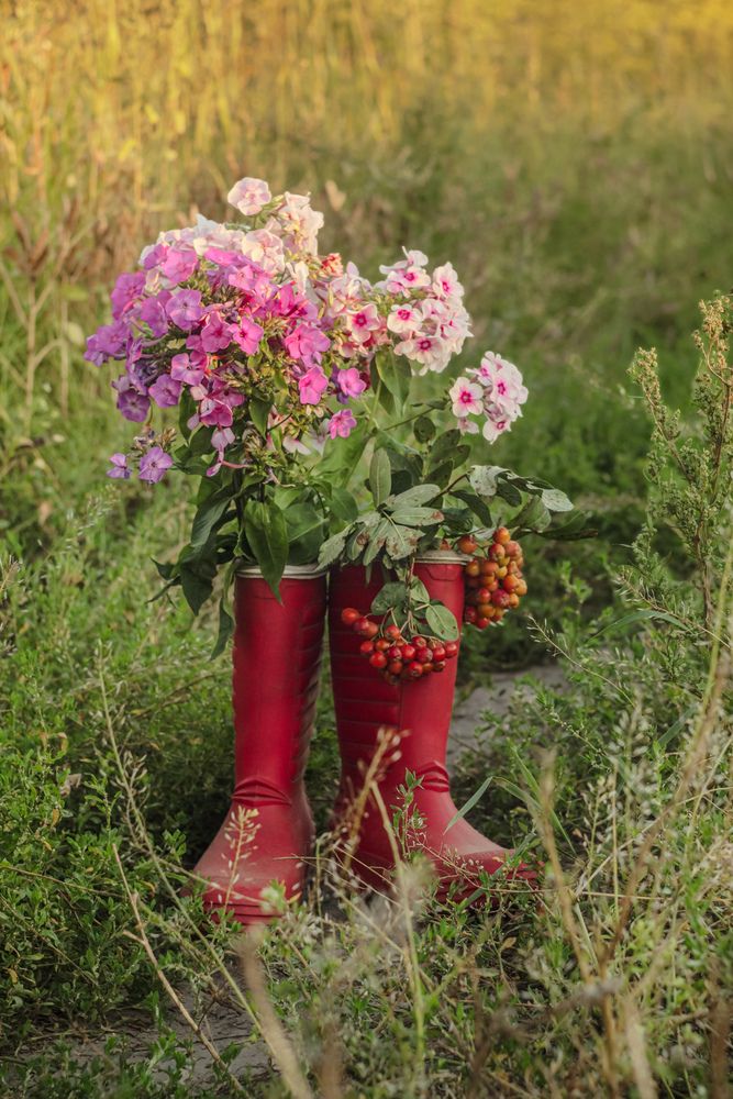 Photograph by Елена Квасова