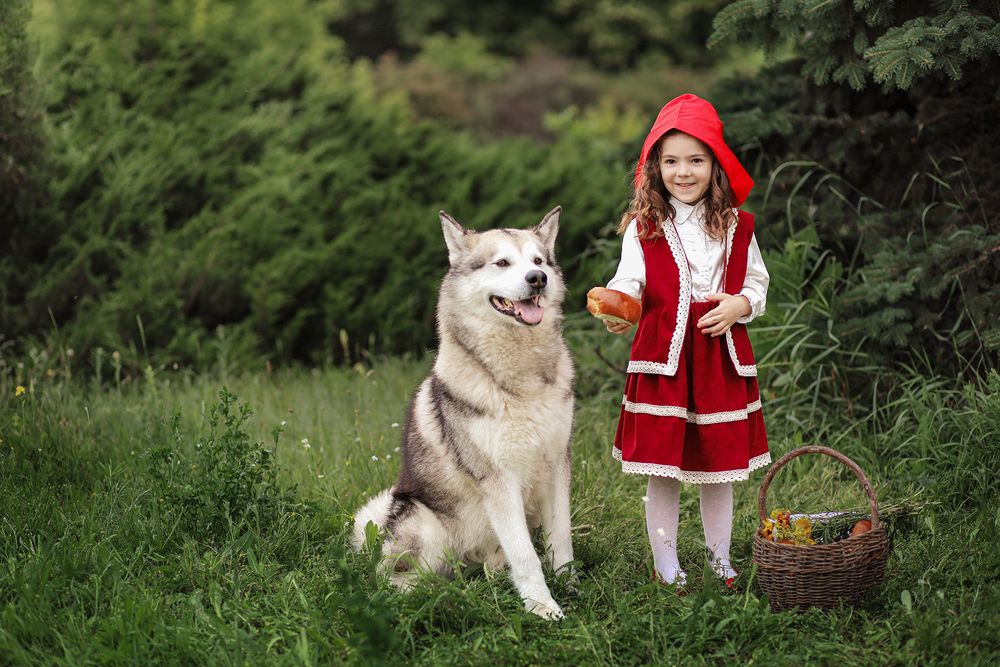 Photograph by Людмила Колесниченко