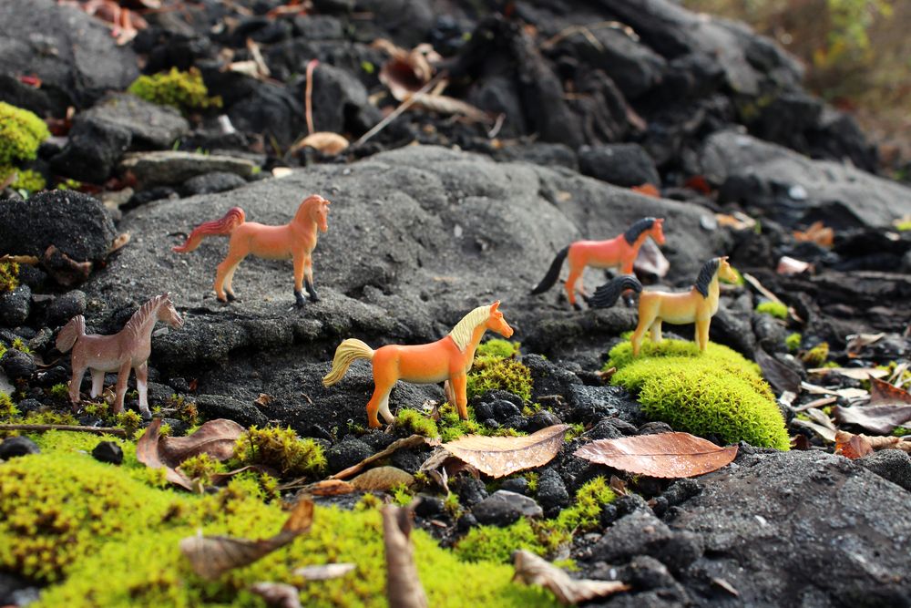 Photograph by Светлана Шубина