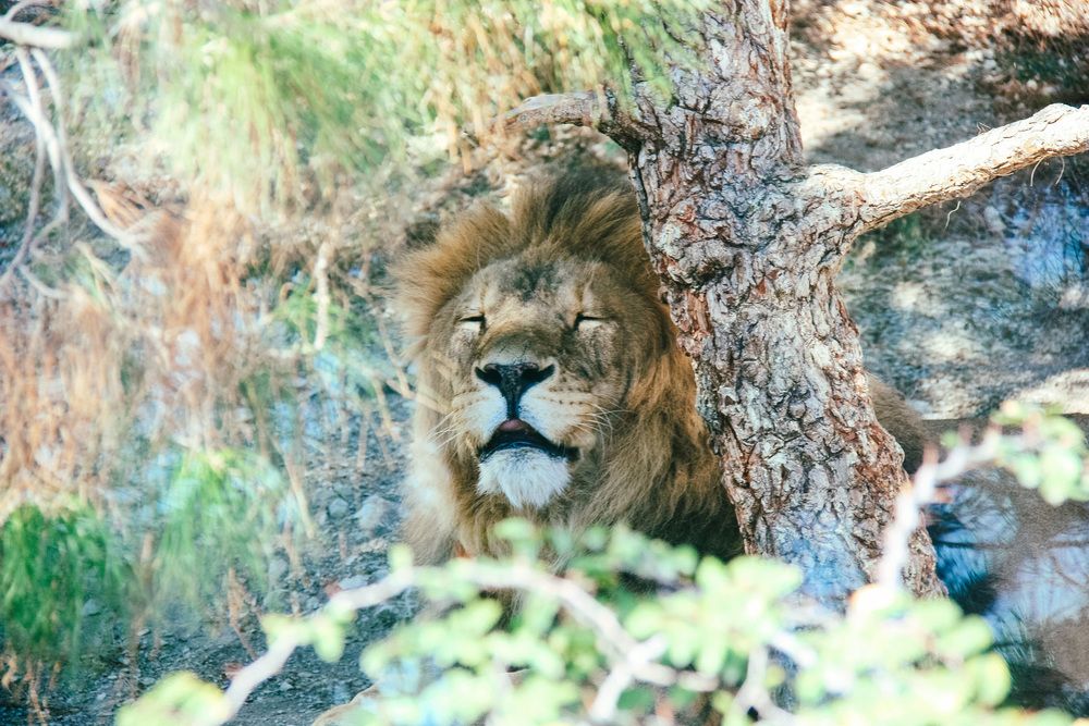 Photograph by Екатерина Краснобокая