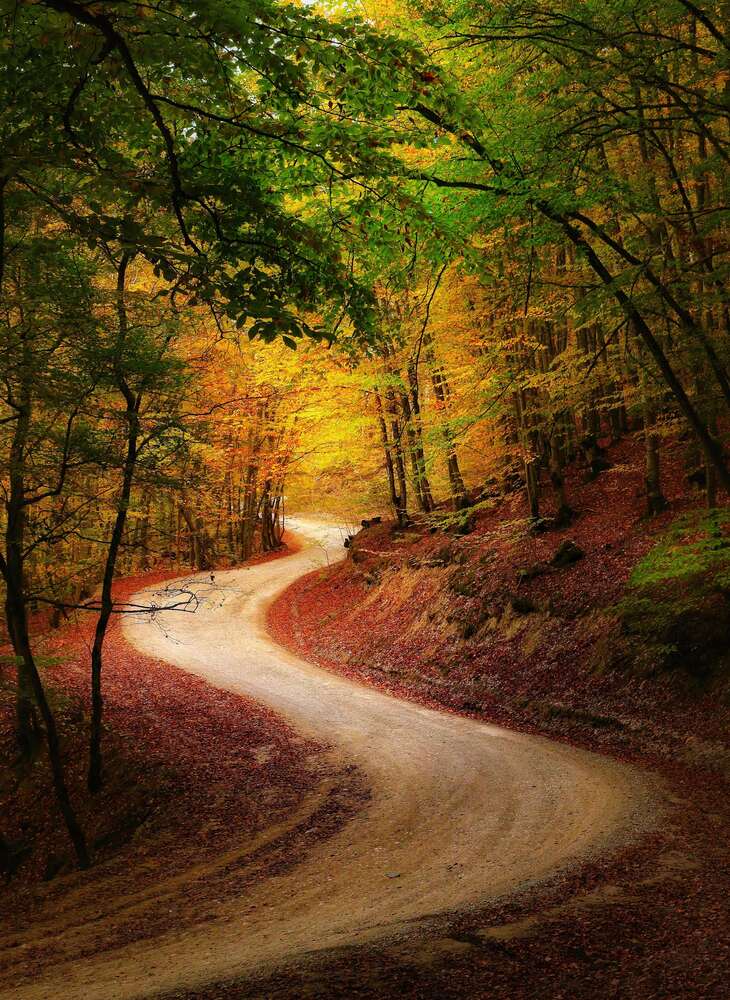 Photograph by Михаил Пермяков