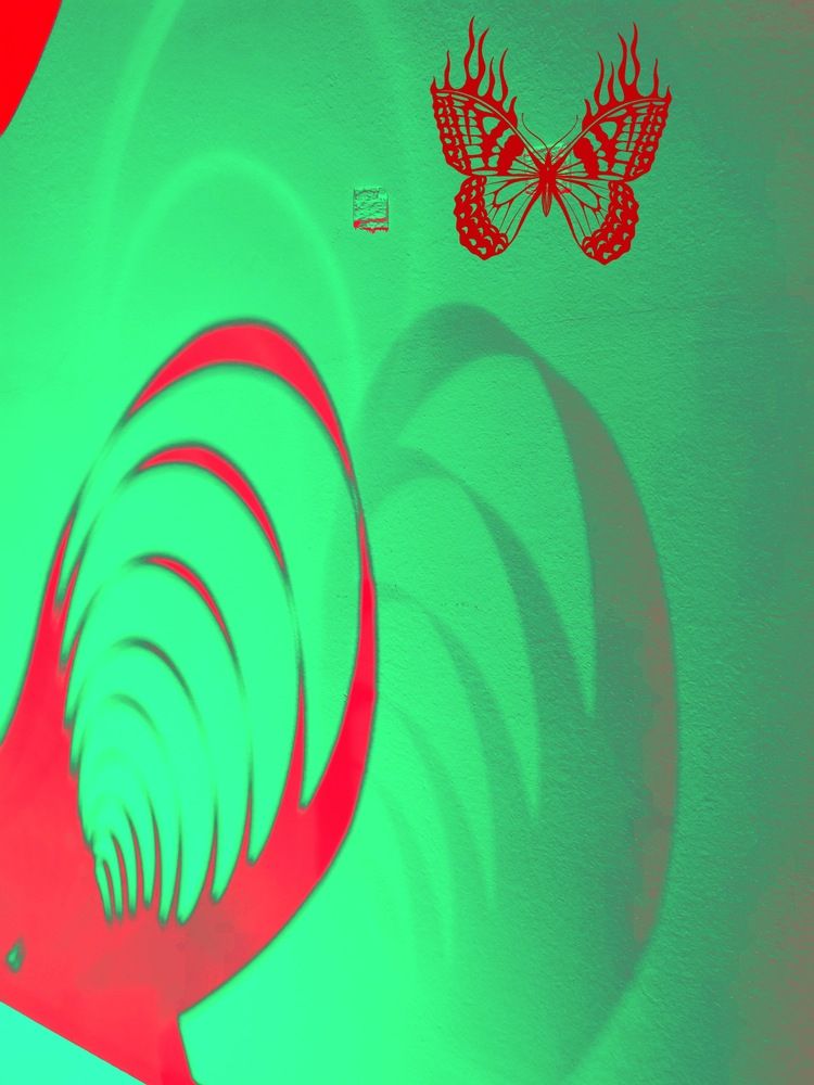 Фотография автора Татьяна Егорова