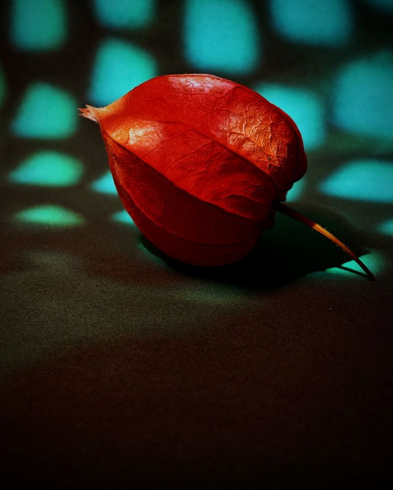 Photograph by Надежда Кангина