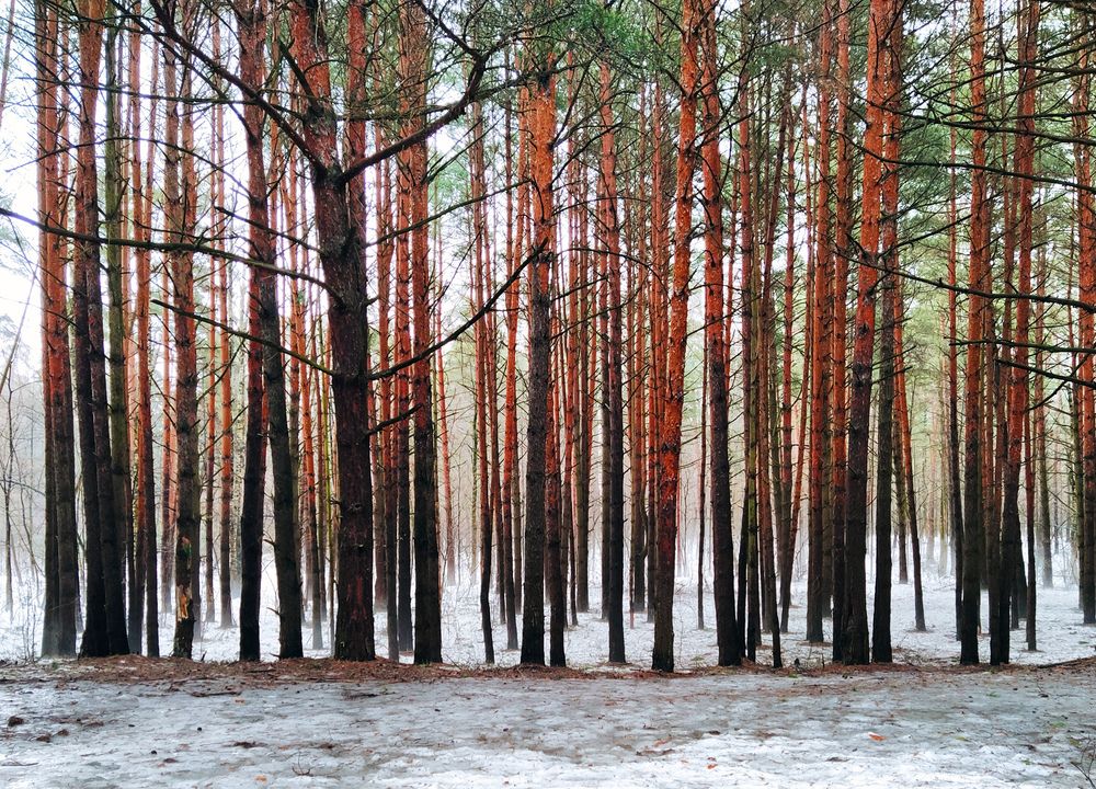 Photograph by Ольга Стоун