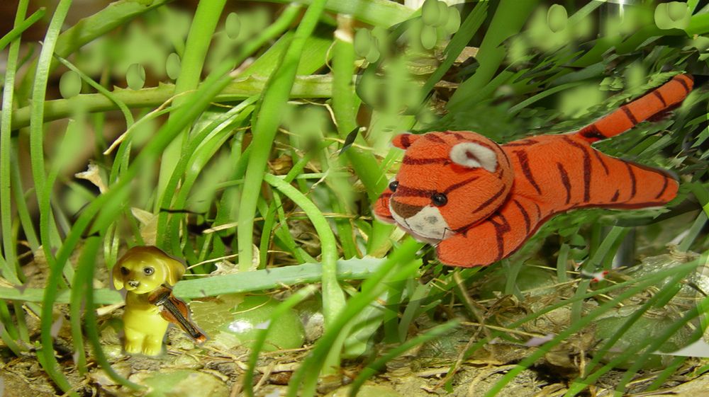 Фотография автора Всеволод