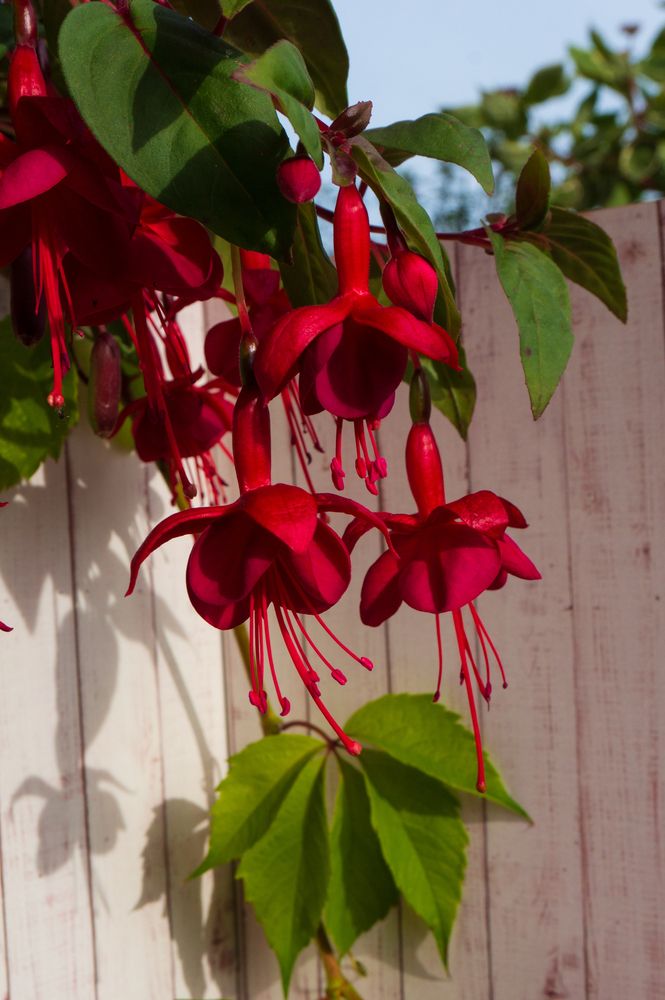 Photograph by Нина Малютина