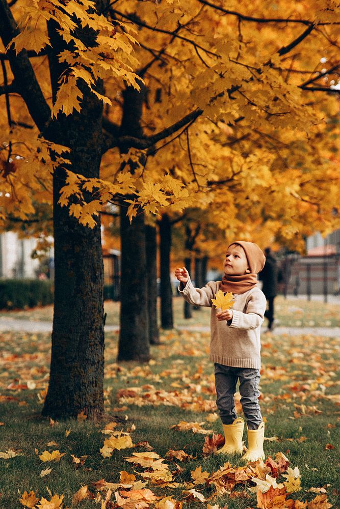 Photograph by Мария Корвин-Кучинская