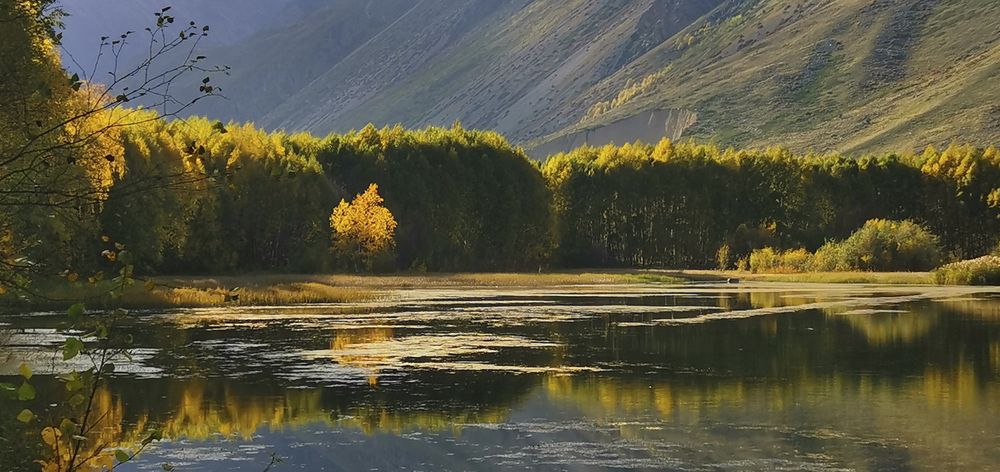 Фотография автора Шипунова Ирина