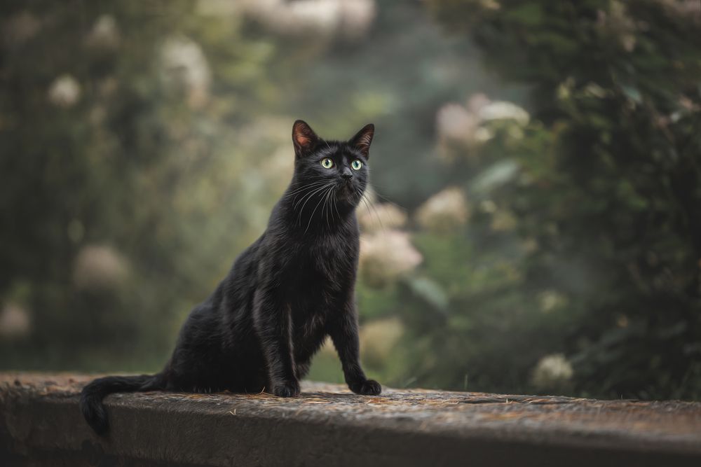 Photograph by Яна Нарбутович