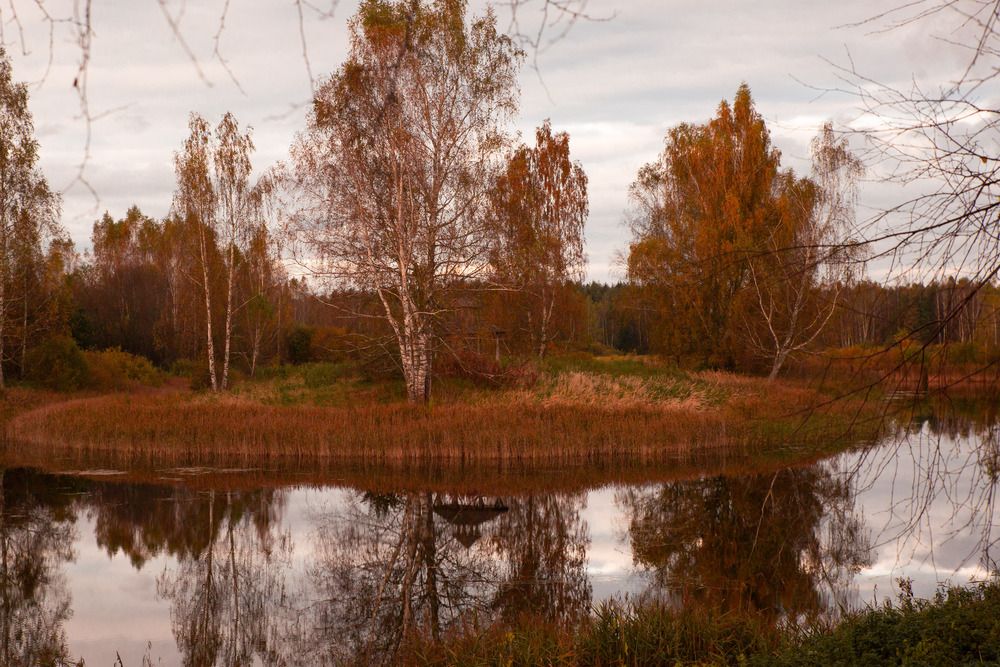 Photograph by Заглубоцкая Ольга