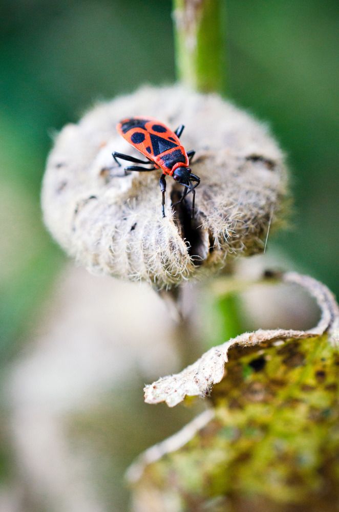 Photograph by Анна Потапова