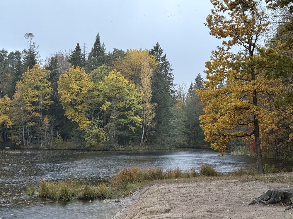 Photograph by Анна Бабкина