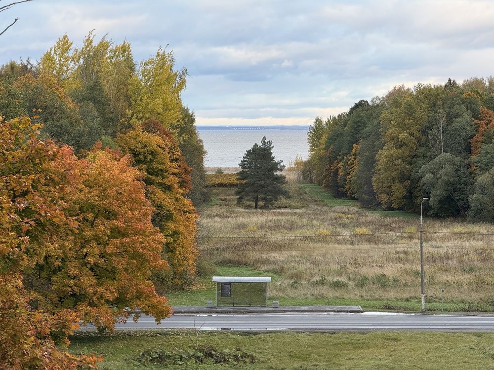 Photograph by Анна Бабкина