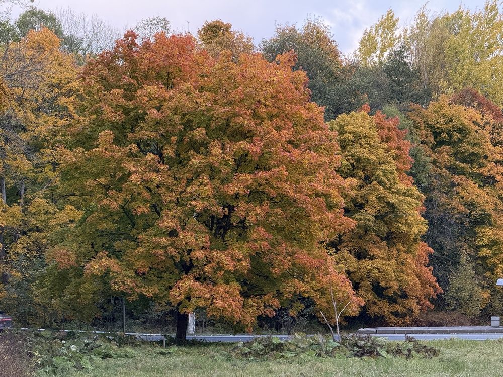 Photograph by Анна Бабкина