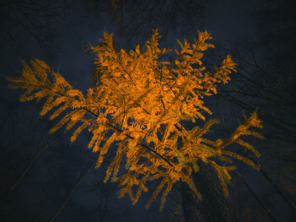 Photograph by Кирилл Сидоров