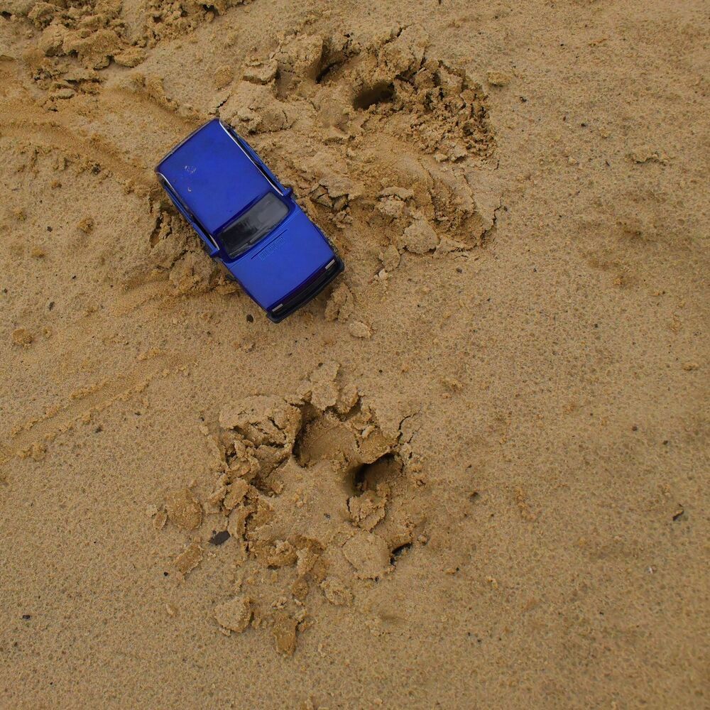 Photograph by Николай Абакумов