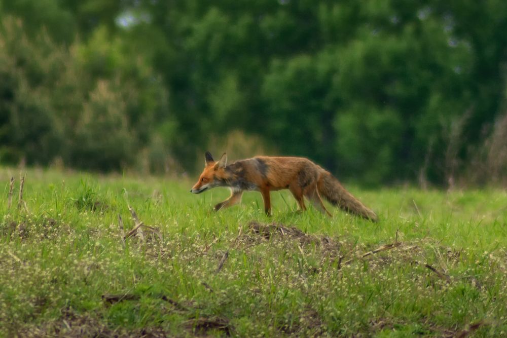 Photograph by Сергей Дишук