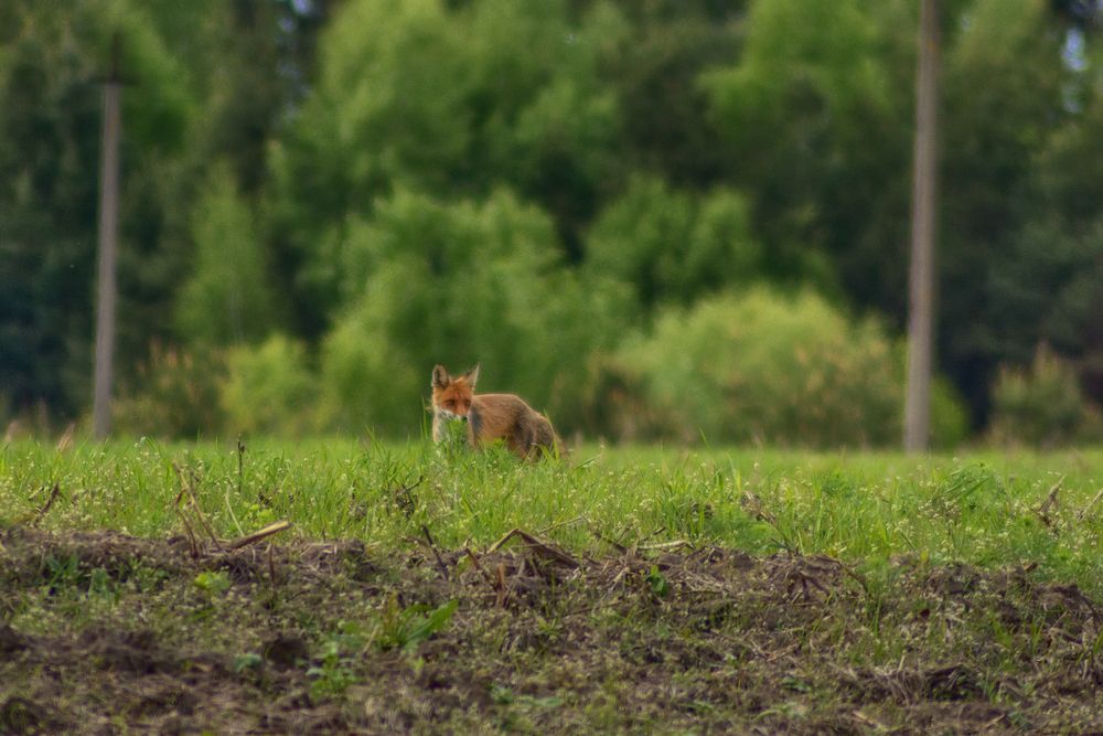 Photograph by Сергей Дишук
