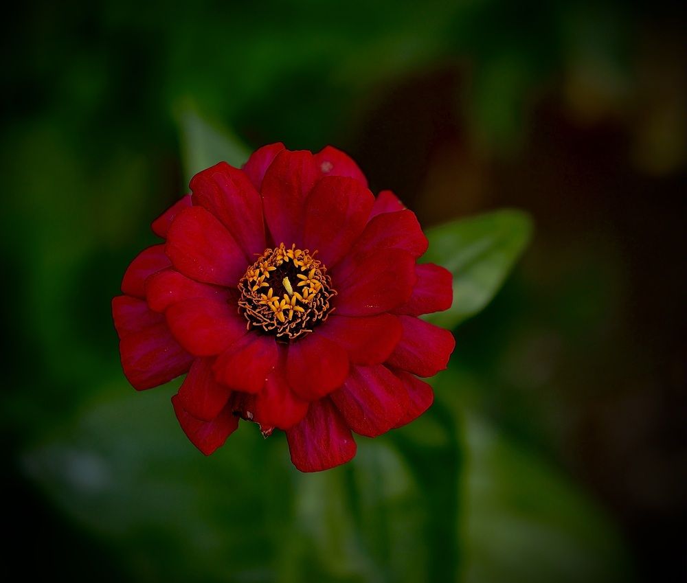 Photograph by Валерий Мыльников