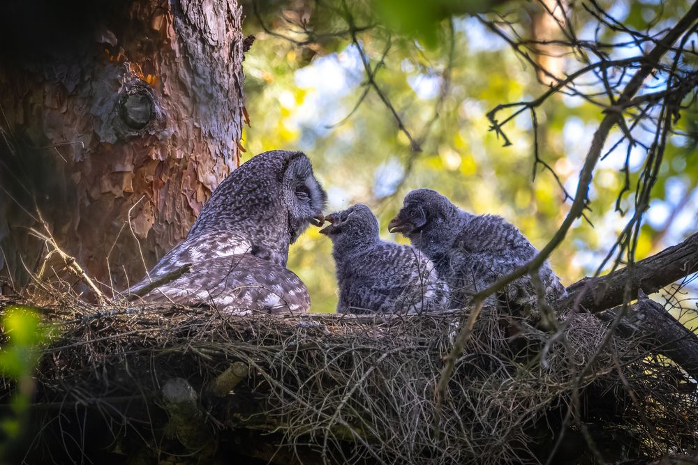 И тебе кусочек!