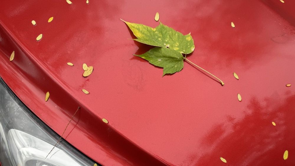 Photograph by Сергей Смирнов