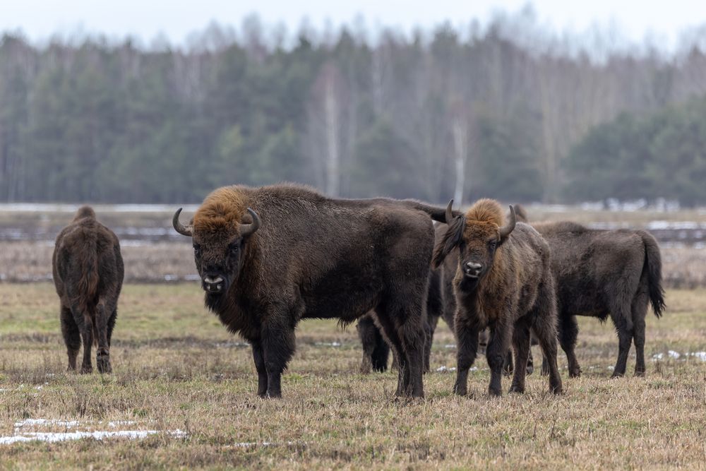 В каждой непонятной ситуации держи ребенка при себе.