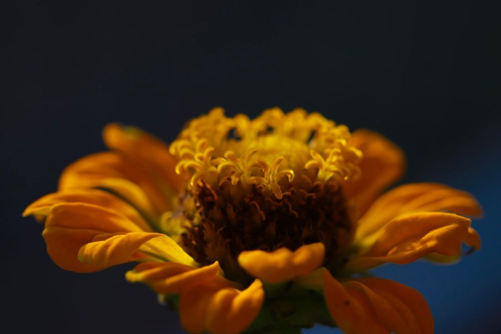 Photograph by Lina Tomkevičienė