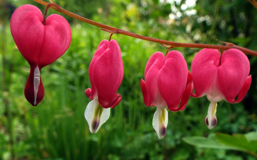 Photograph by Александр Бастраков