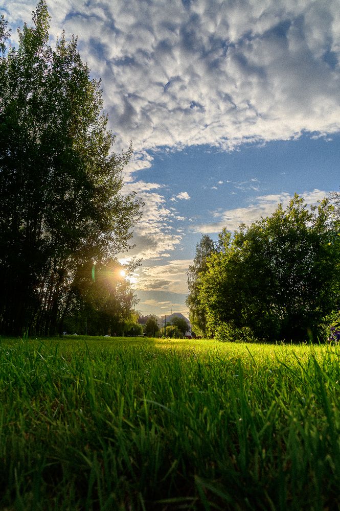 Photograph by Александр Григоров