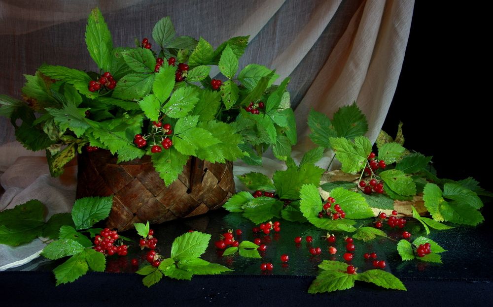 Фотография автора Nelya  Lysenko