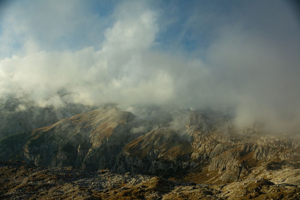 Photograph by Nicole Maria Wolff