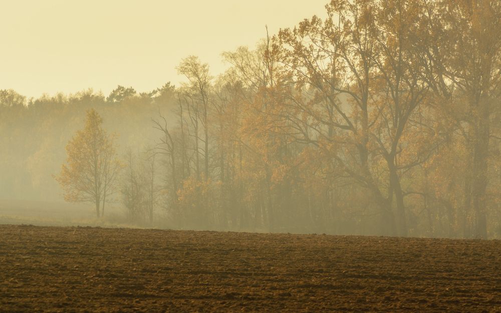 Photograph by Сергей Дишук