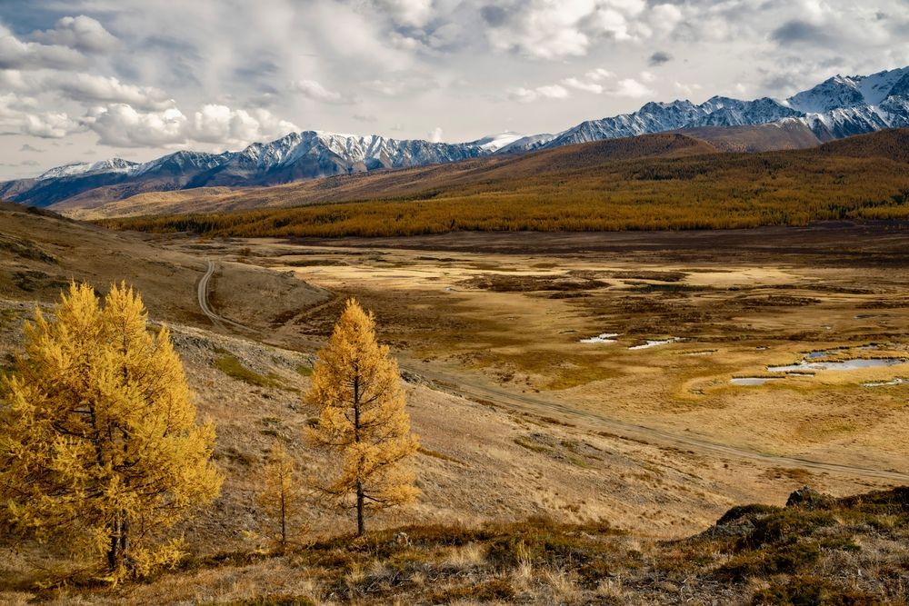 Photograph by Геннадий Кравченко