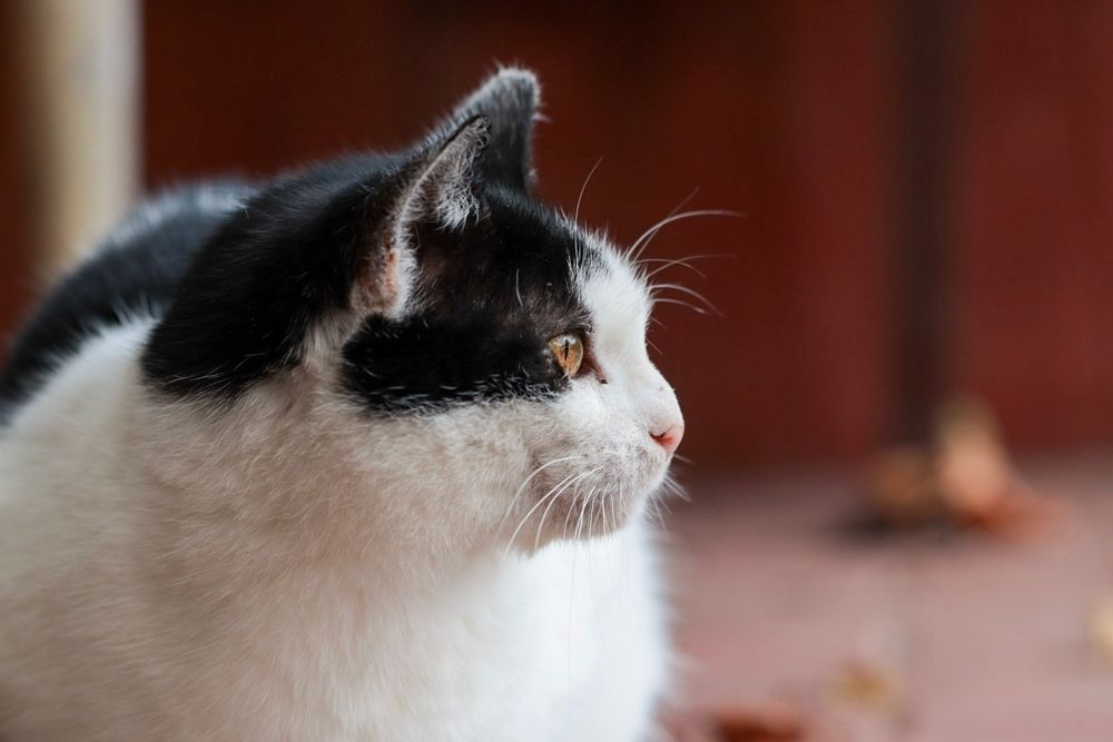 Photograph by Lina Tomkevičienė