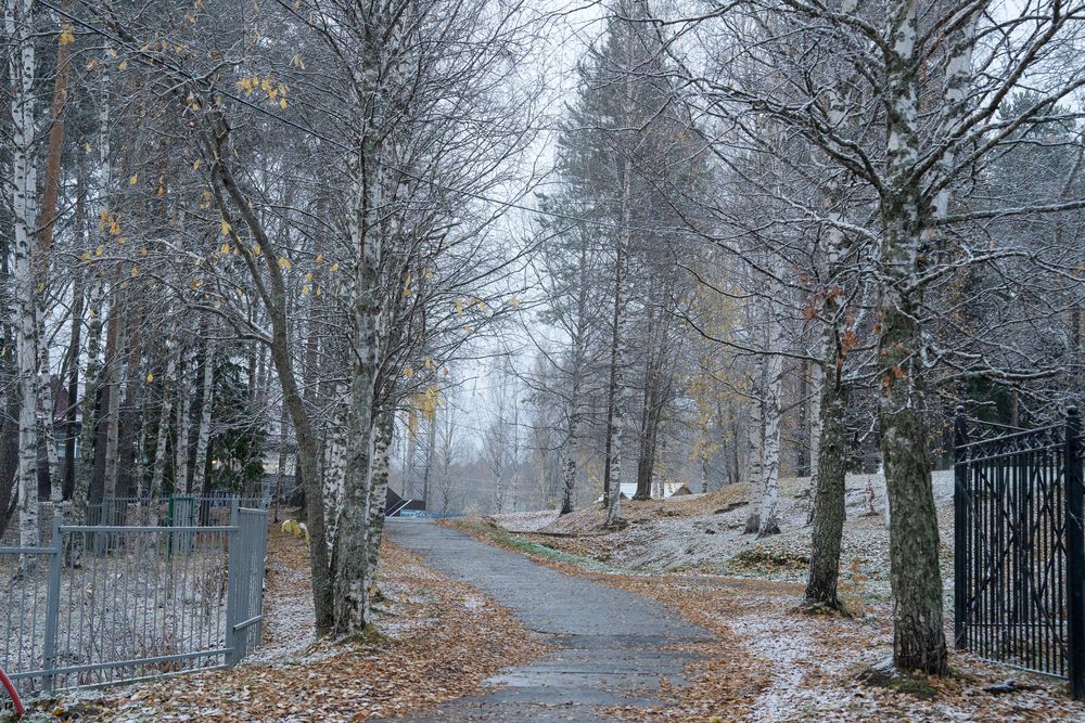 Снег на Покров