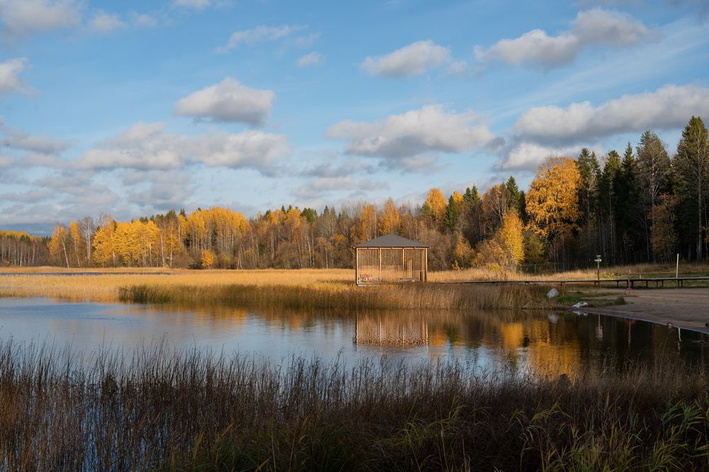 Photograph by Евгения Ковригина