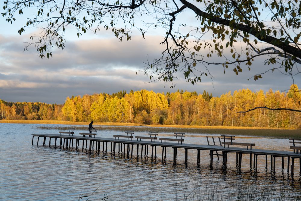 Photograph by Евгения Ковригина