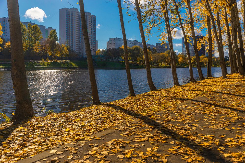 Photograph by Евгений Гонтов