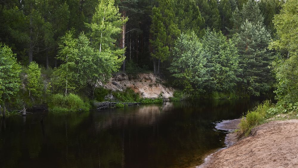 Photograph by Алексей Парамонов