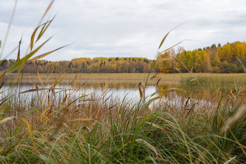Photograph by Евгения Ковригина