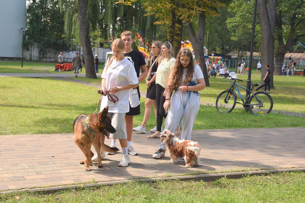 На прогулке