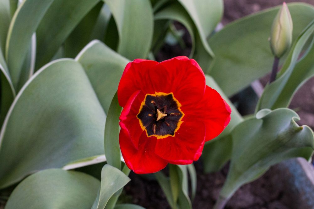 Фотография автора Дарья Рогозина