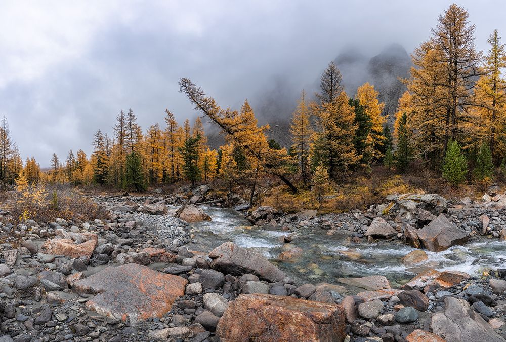 Photograph by Vladimir Ostapenko
