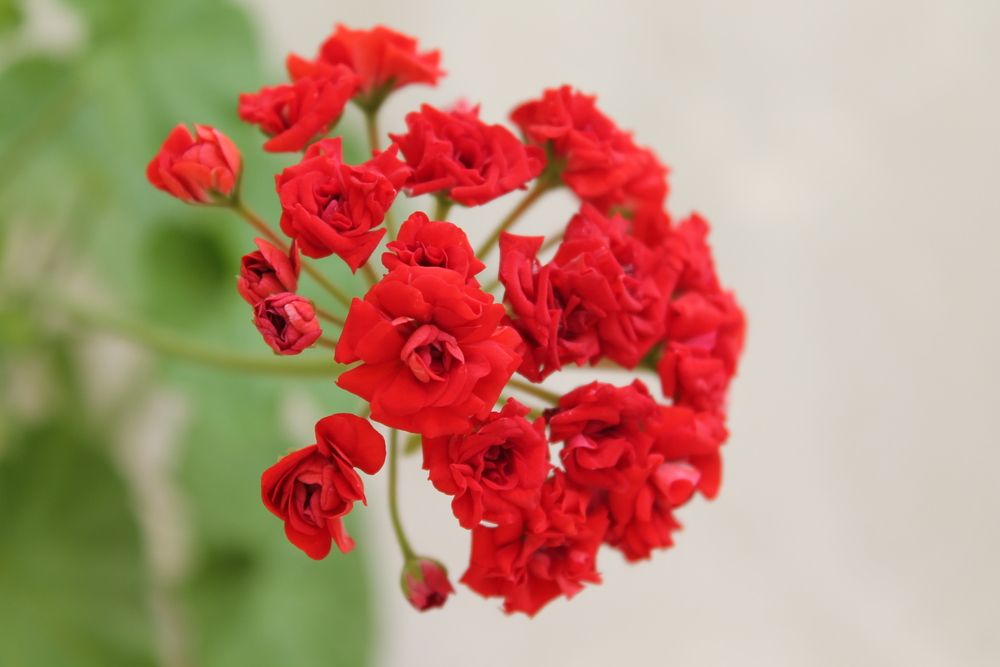 Фотография автора Дарья Рогозина