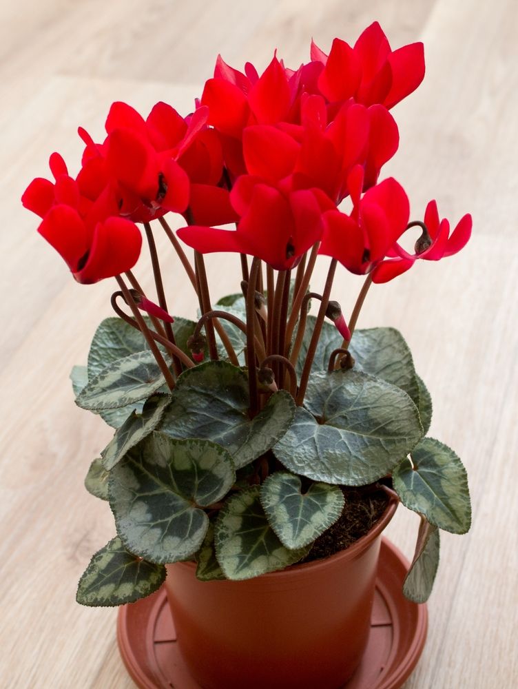 Фотография автора Дарья Рогозина